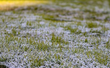 Comienzo de semana muy frío, con heladas y mínimas bajo cero