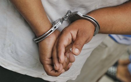 Robó en tienda de pinturas y fue directo a la cárcel