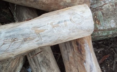 Siguen los días muy fríos, con heladas y lluvias aisladas; temperaturas mínimas alrededor de 0º