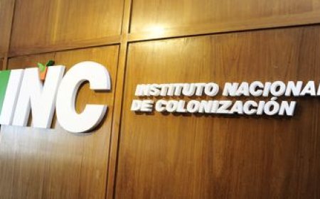 Tribunal de Cuentas detectó irregularidades graves en una compra millonaria de Colonización