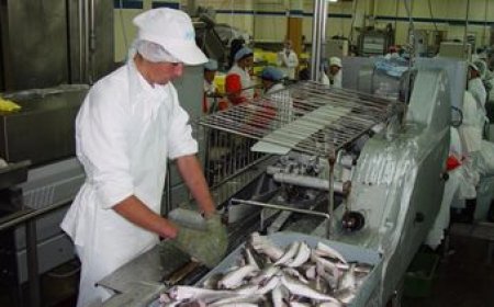 El conflicto laboral en la industria pesquera ya generó pérdidas millonarias y el Parlamento citará al ministro de Trabajo