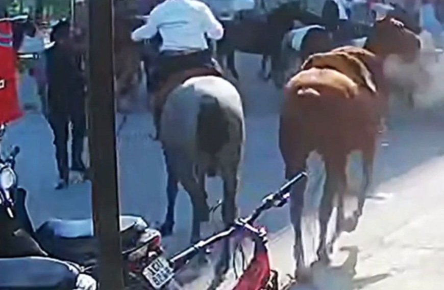 Murió el jinete que fue apuñalado el domingo en Paysandú; el autor está en prisión preventiva