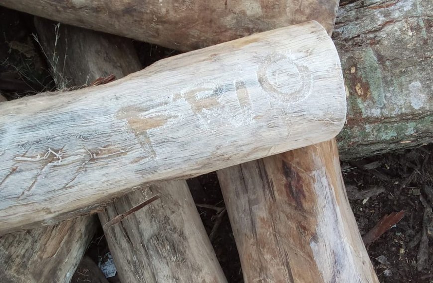 Siguen los días muy fríos, con heladas y lluvias aisladas; temperaturas mínimas alrededor de 0º