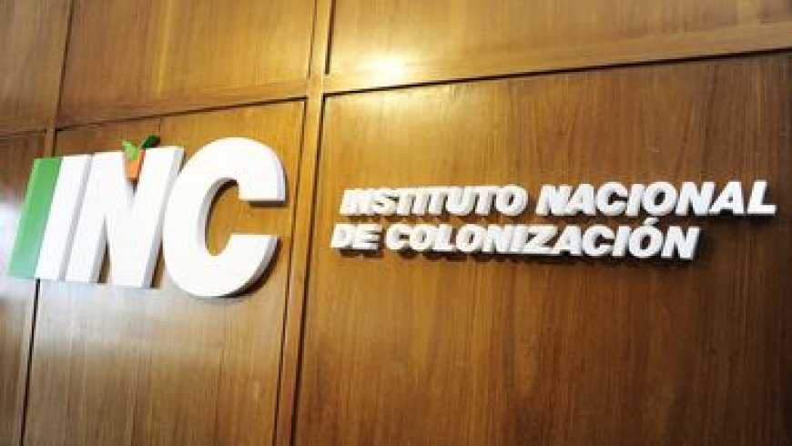 Tribunal de Cuentas detectó irregularidades graves en una compra millonaria de Colonización