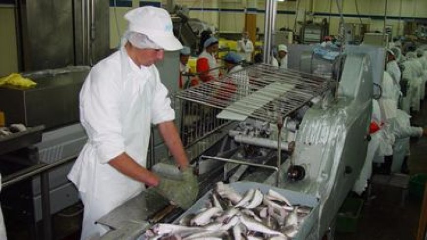 El conflicto laboral en la industria pesquera ya generó pérdidas millonarias y el Parlamento citará al ministro de Trabajo