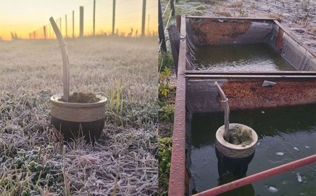 Último día de frío polar y mínimas bajo cero; el jueves comienza a subir la temperatura