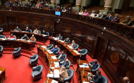 El Parlamento acordó un proyecto único para salvar la Caja de de Profesionales