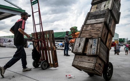 El frío impacta en los precios de algunas verduras