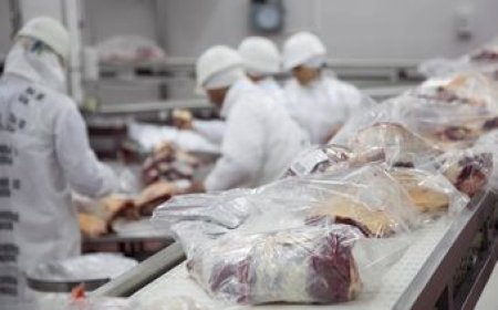 El endeudamiento de la industria frigorífica alcanzó un nuevo máximo