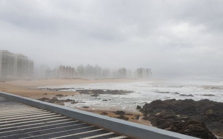 Domingo nuboso, con nieblas y neblinas, la temperatura máxima llegará a los 26°
