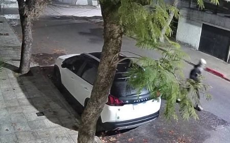 Vandalismo en zona céntrica: vecinos denuncian daños a sus vehículos y Policía investiga