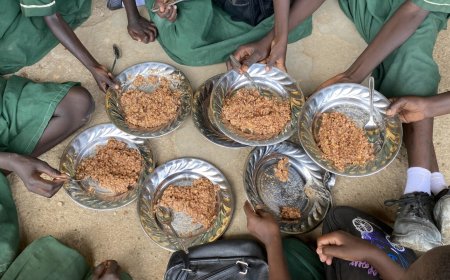 OMS: Más de 3,5 millones de personas están en riesgo de desnutrición en Sudán del Sur