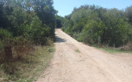 Comienzan las obras de reacondicionamiento del puente sobre el Río Yí