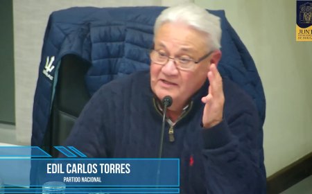 Torres reclama actualización de comisión y ordenanza para vivienda y ordenamiento territorial