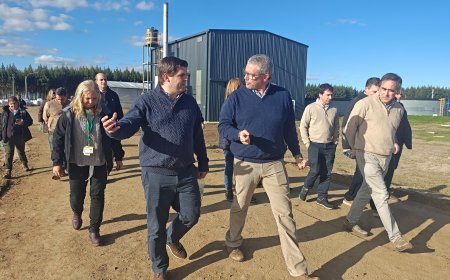 Algorta recorrió instituciones locales y el vivero de UPM en Sarandí del Yí