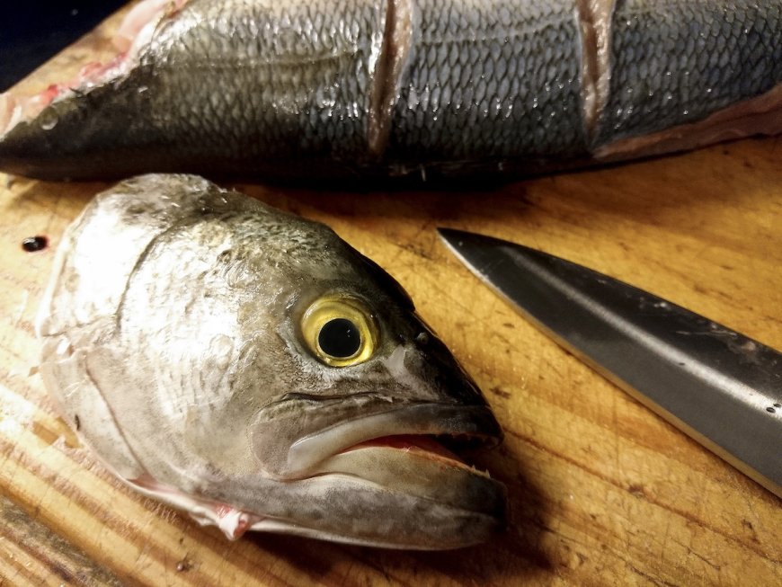 Pesca: conflicto llegó a Torre Ejecutiva, pero aún no hay solución y la flota sigue parada
