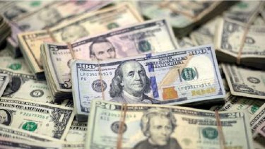El dólar logró su primera suba semanal en más de un mes
