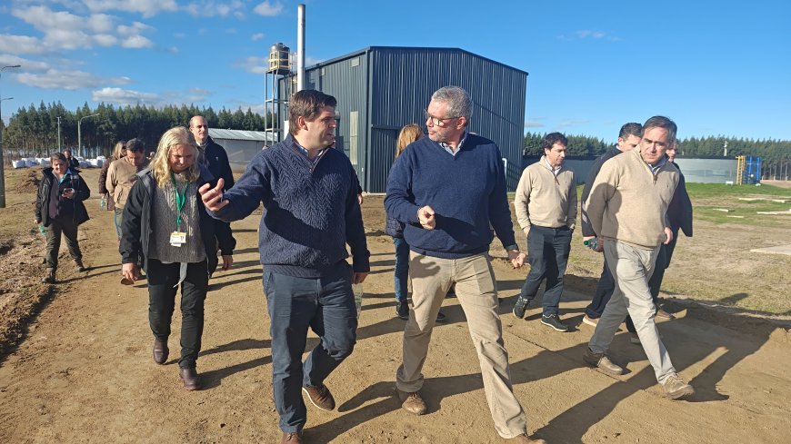 Algorta recorrió instituciones locales y el vivero de UPM en Sarandí del Yí