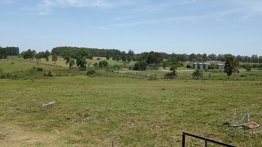 Durazno impulsa nuevo polo deportivo con cancha de césped sintético