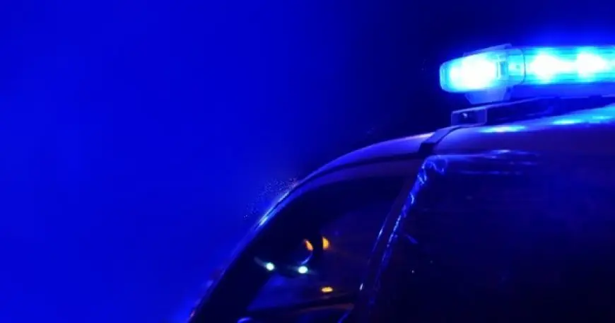 Quiso esconder la droga detrás de un árbol y no le salió bien: dos años de cárcel