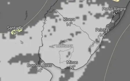 Alerta por densas nieblas: visibilidad reducida en rutas durante la madrugada y mañana del sábado