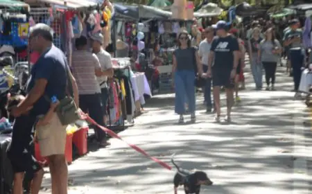 Feria Dominical funcionará este domingo en la zona de la Terminal