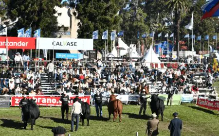 La Expo Prado 2026 reunirá 2.000 animales y más de 650 expositores