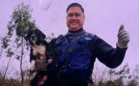 Bomberos de Durazno rescataron a un perro atrapado por la corriente en medio de las inundaciones