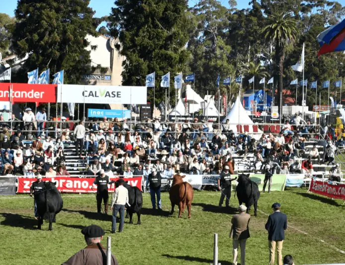 La Expo Prado 2026 reunirá 2.000 animales y más de 650 expositores