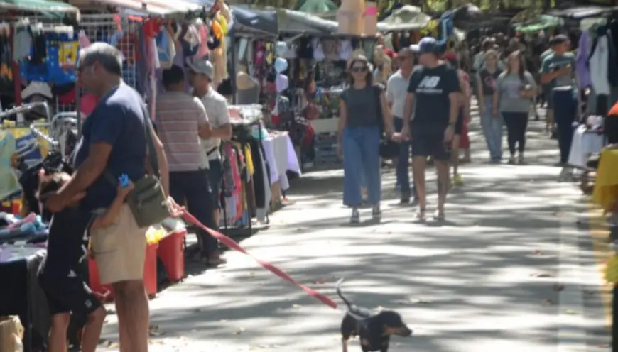 Feria Dominical funcionará este domingo en la zona de la Terminal