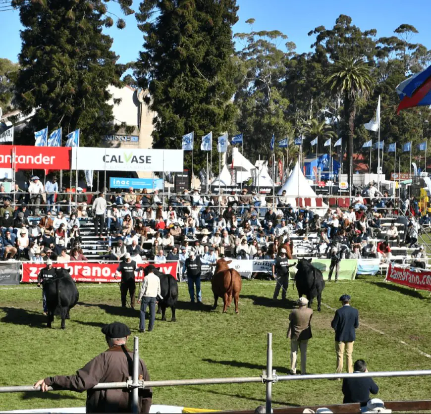 La Expo Prado 2026 reunirá 2.000 animales y más de 650 expositores