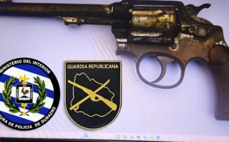 Condenaron a 15 meses de prisión a un joven de 19 años que arrojó un revólver al ser identificado por la Guardia Republicana